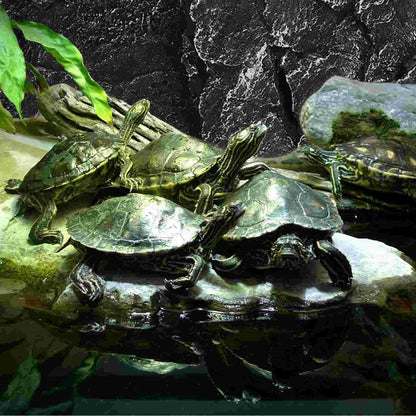 Three Dimensional Decorative Reptile Tank Background 3d Fish Tank Background Board Aquarium Backgrounds Terrarium Turtle Tank