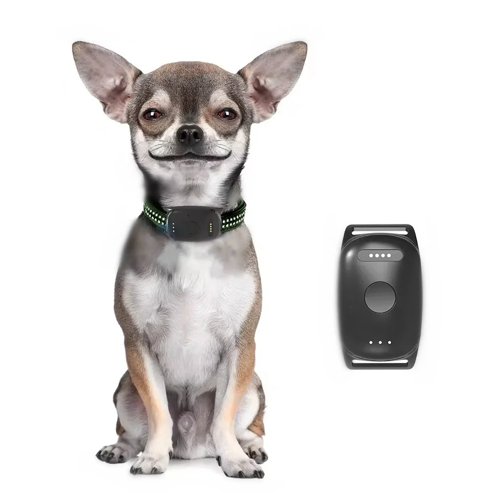 Keep Pets Safe Outdoors GPS Tracking System For Dog Cat Record Travelling Route GEO-fencing Pets Tracking Collars Gps Dog Fence