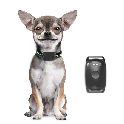 Keep Pets Safe Outdoors GPS Tracking System For Dog Cat Record Travelling Route GEO-fencing Pets Tracking Collars Gps Dog Fence