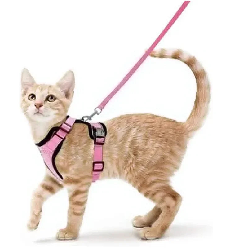Cat dog collar vest harnesses leash Outdoor walk pet Anti-escape reflective kitten collar small dog chest breathable leashes
