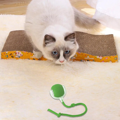 Dog and cat toys, ball, durable, self-entertainment, with rope, cat teaser ball, pet supplies, jumping ball, thud pet toys
