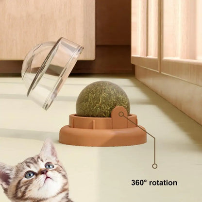 Catnip Ball Cat Toy Dental Health Care Bite Resistant Relieve Boredom Teeth Grinding Interactive Ball Cats Mint Toy Cat Supplies