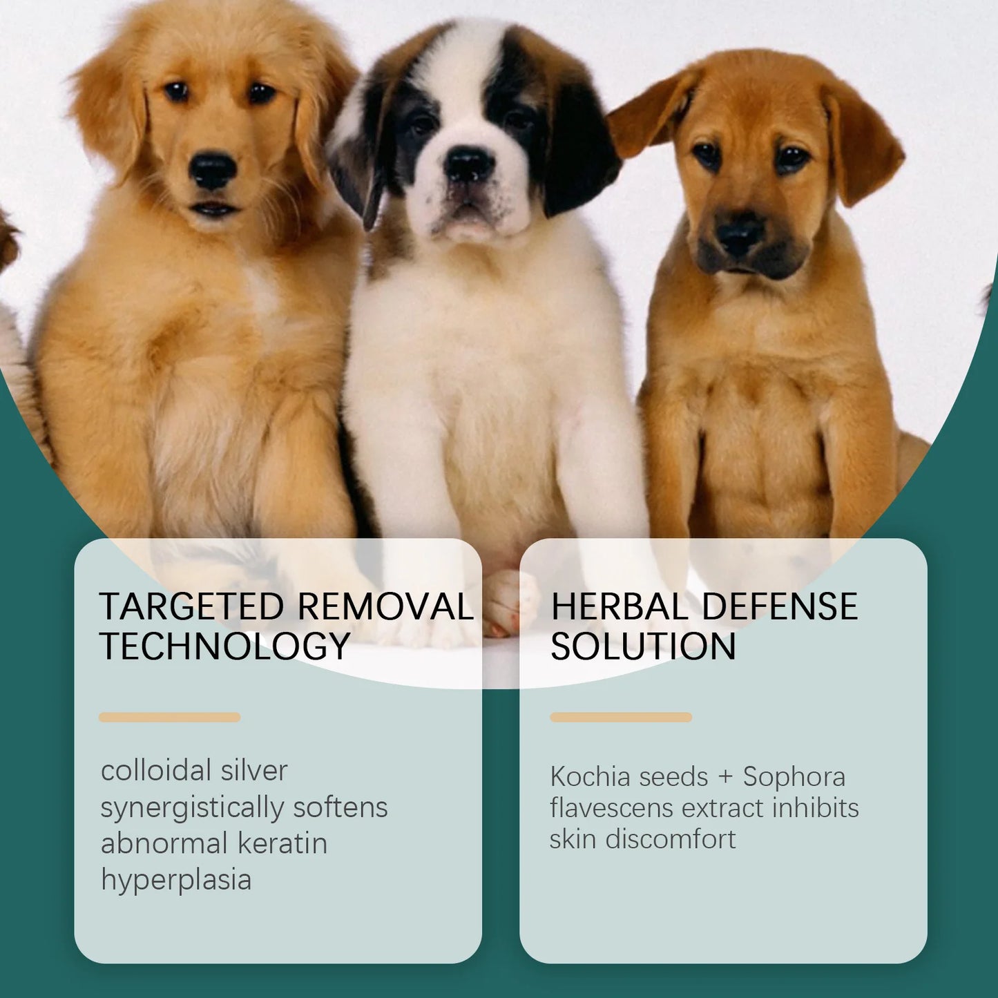 Cat Anti Flea Drops Flea Lice Remove Relieve Skin Itching External Insect Repellent Deworming Supplies Pet Tick Treatment Drops