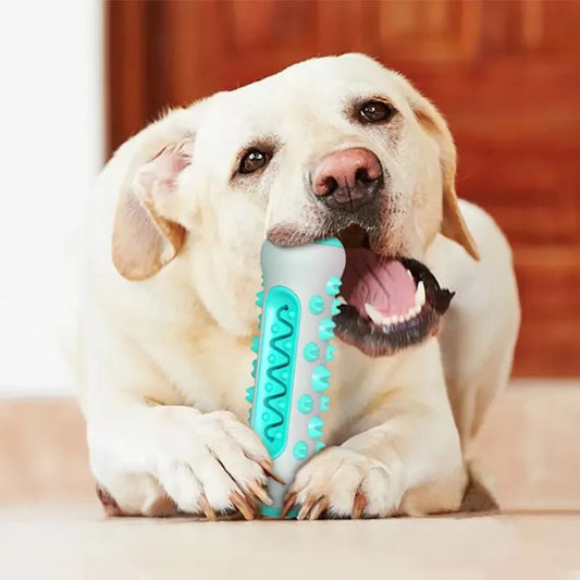 1PCS Dog Dental Chew Toys for Teeth Cleaning Puppy Teething Sticks & Chewable Bone Toothbrush Enzymatic Oral Care Fresh Breath