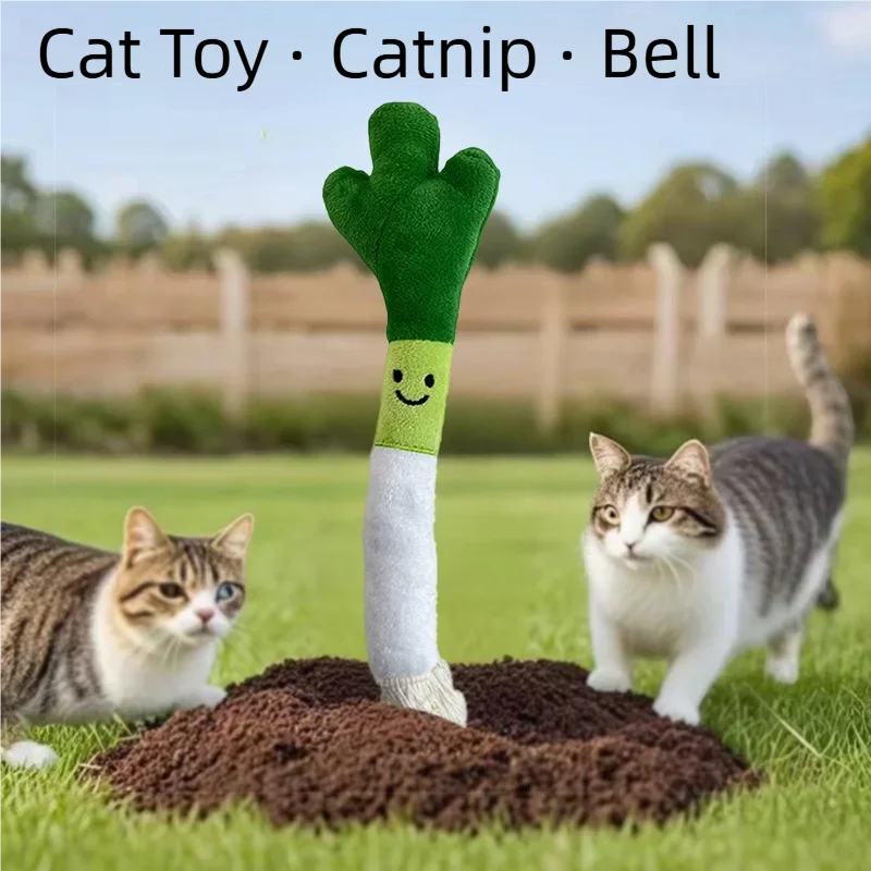 Funny Plush Dog Chew Toys Bite-resistance Small Large Dogs Squeak Sound Toy Teeth Cleaning Puppy Interactive Playing Supplies