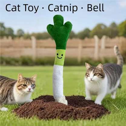 Funny Plush Dog Chew Toys Bite-resistance Small Large Dogs Squeak Sound Toy Teeth Cleaning Puppy Interactive Playing Supplies