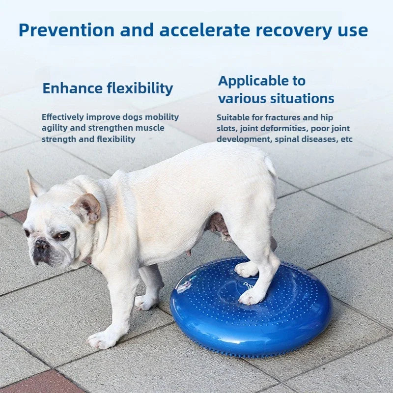 Dog Massage Pad Balance Tray Rehabilitation Training Dogs Leg Coordination Pads Strong Bearing Capacity Pet Products Supplies