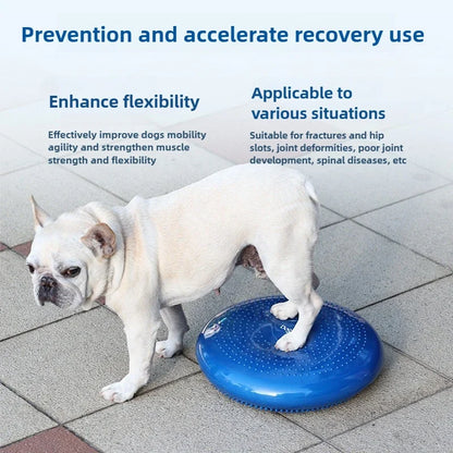 Dog Massage Pad Balance Tray Rehabilitation Training Dogs Leg Coordination Pads Strong Bearing Capacity Pet Products Supplies