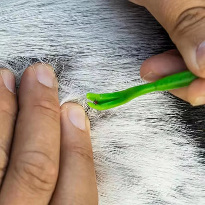 3Pack Flea Remover Hook Tick Remover Tweezer Tick Pull Pet Cat Dog Tick Clamp Accessaries Pet Mite Flea Extractor Dog Accessarie