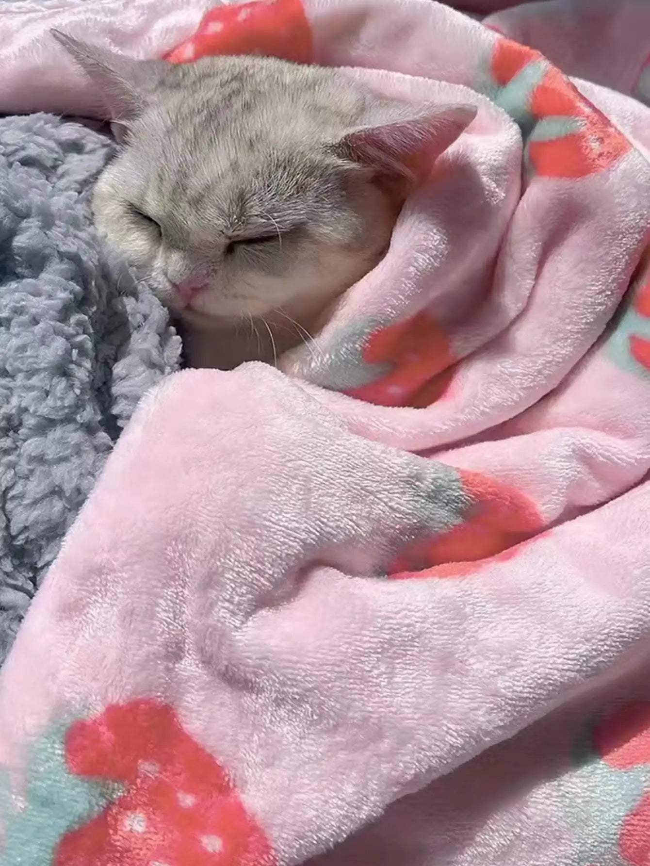 Strawberry Pink Throw Blanket Super Soft Warm Bed Blankets for Pets Cats and Dogs All Season Cozy Flannel Plush Blanket