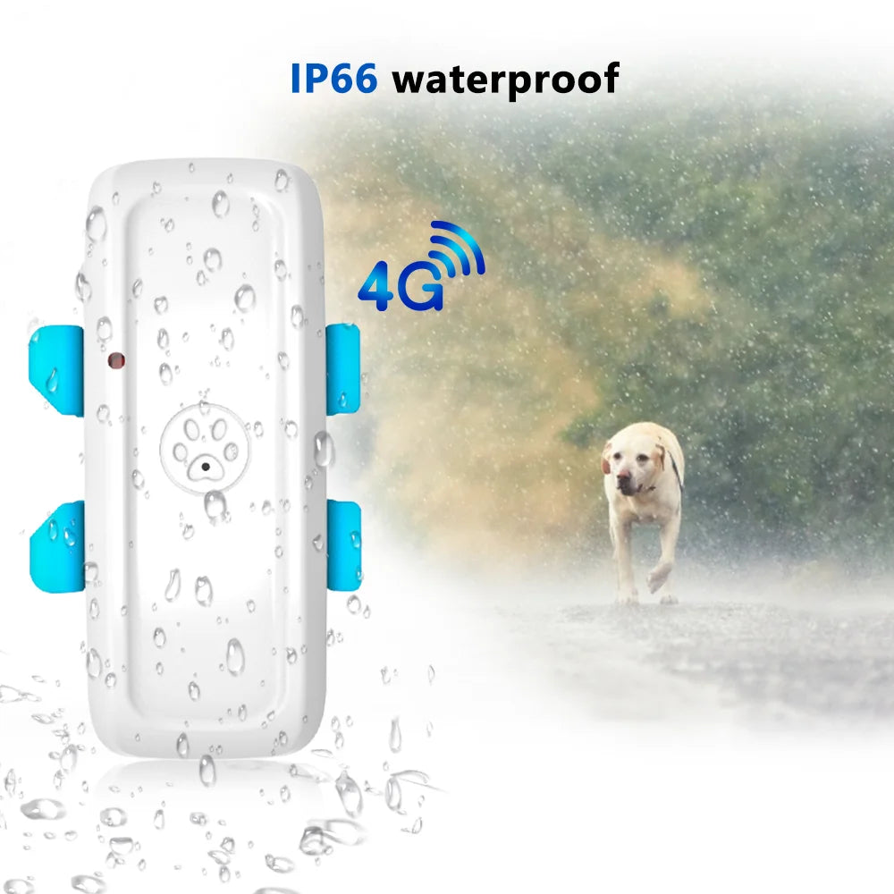 4G GPS Tracker For Pet Dog Real Time Tracking System Locator Collar GPS