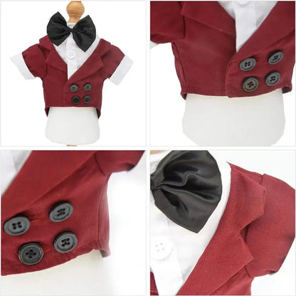 Halloween Dog Costume Pet Formal Tuxedo Dress & Wedding Suit Big Dog Clothes with Black Bow Cosplay Large Pet Clothing for Party