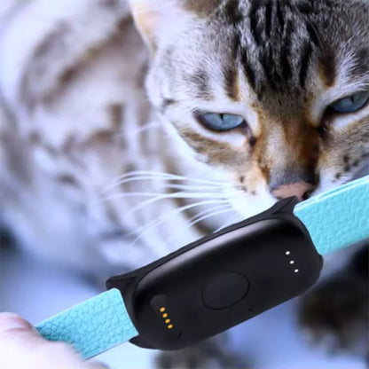 Keep Pets Safe Outdoors GPS Tracking System For Dog Cat Record Travelling Route GEO-fencing Pets Tracking Collars Gps Dog Fence