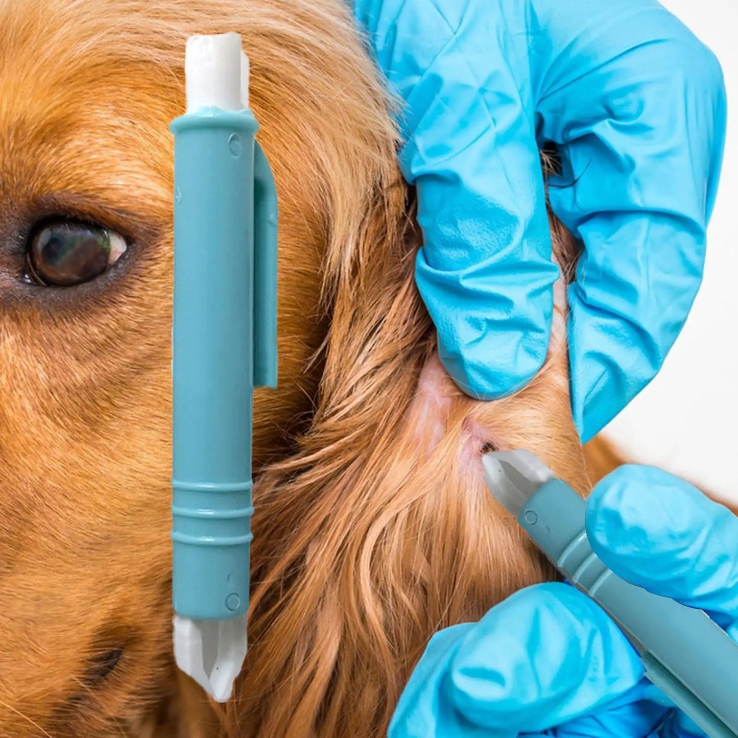 Safe Tick Remover Tool for Dogs & Cats, 4Pcs Pet First Aid Kit with Tweezers & Comb, Gentle Flea Lice Removal for Pets and Human