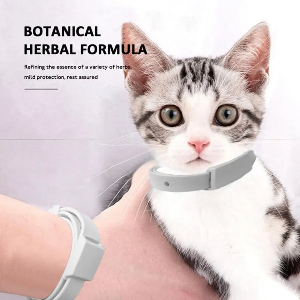 Retractable Pet Products Silicone Anti Ticks for Cat Dog Anti Flea Flea Collar Puppy Collar Dog Cat Collar Dog Flea Repeller