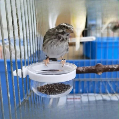 Bird Feeders Cup, Parrot Feed Box with Holder, Bird Cage Feeding Supplies