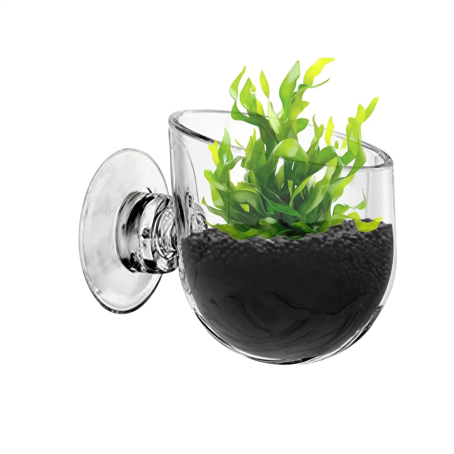aquarium plant Cup  Hanging fish tank Water potted planting cylinder cup aquarium  plant holder  Aquarium decoration