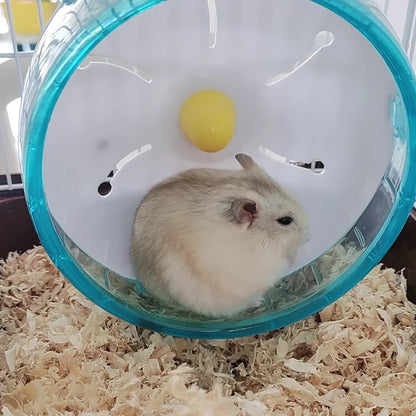 New Hamster Running Wheel, Silent Running Wheel, Hamster Cage Wheel, Golden Hamster Exercise Ball, Hamster Supplies and Toys