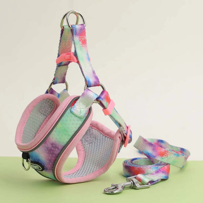 One Dog Harness and Leash Set - Comfort Adjustable - Escape Prevention Pet Leash Vest - For Small to Medium Dogs