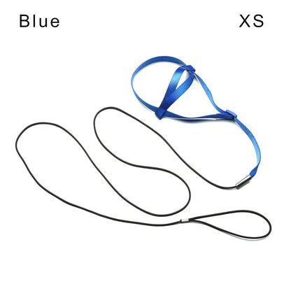 Training Flying Traction Rope Anti-Bite Training Rope Bird Leash Parrot Flying Rope Parrot Harness Bird Harness Leash