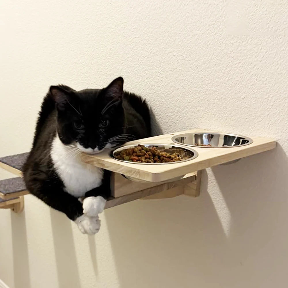 Cat wall furniture cat bowl feeding rack stainless steel double bowl dog-proof cat feeding station suitable for cats to eat