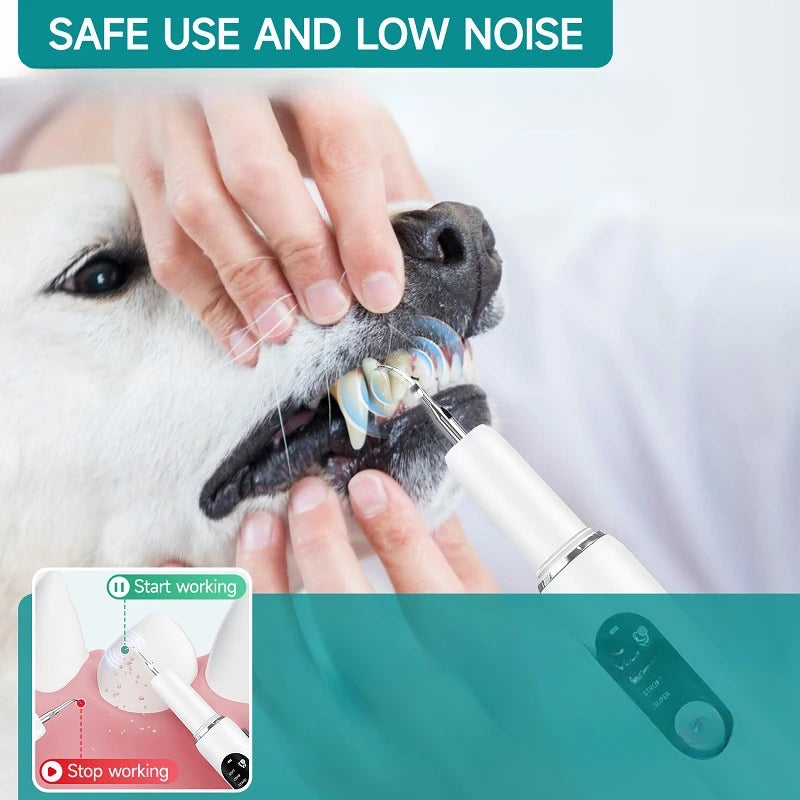 Cat Dog Dental Cleaner with USB Charging LED Light Pet Cleaning Oral Supplies Portable Waterproof Pet Dental Cleaning Equipment
