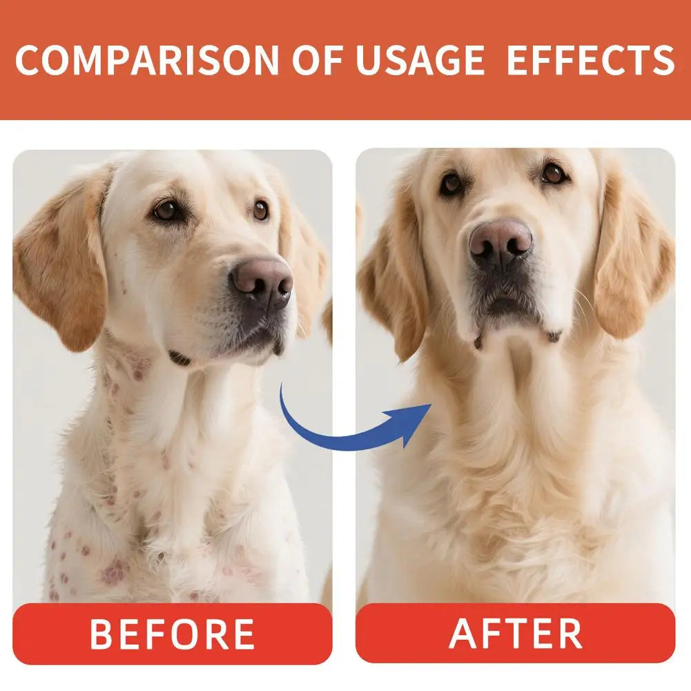 40g Dog Digestive Support Improved Digestion Supplement Natural Support Nutrition For Puppy Travel Wellness Pet Home Dogs