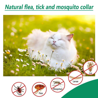 60ml Pet Pest Spray Pet Dog Anti-flea Mites Ticks Drops Kitten Pest Treatment Treatment Flea Puppy Kitten Puppy Spray