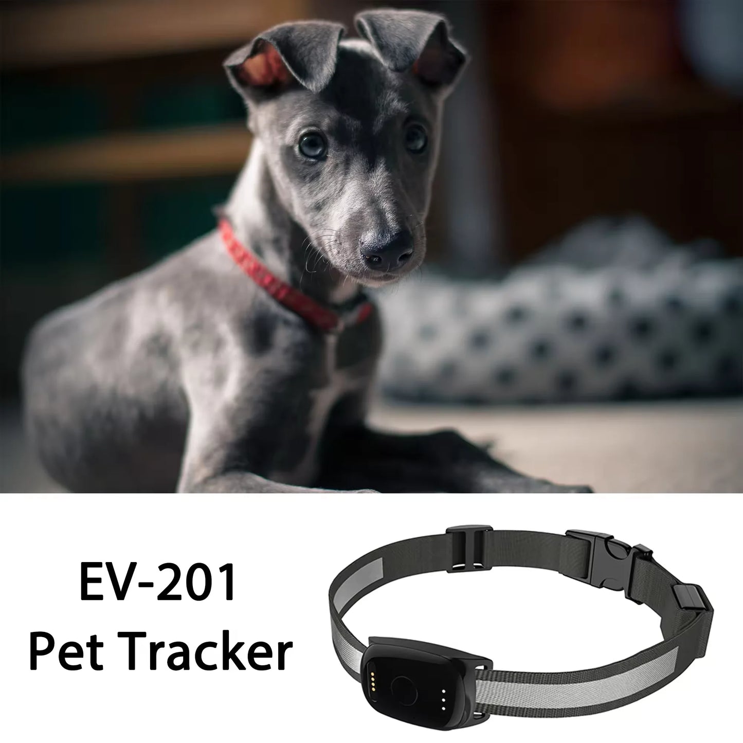 Keep Pets Safe Outdoors GPS Tracking System For Dog Cat Record Travelling Route GEO-fencing Pets Tracking Collars Gps Dog Fence