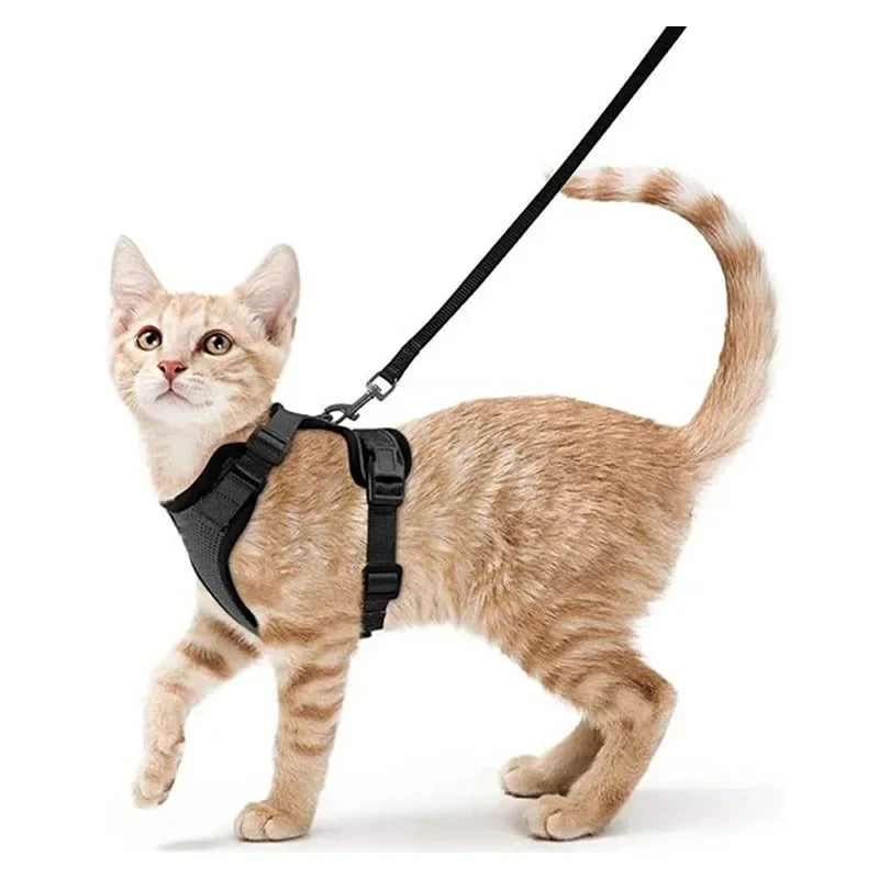 Cat dog collar vest harnesses leash Outdoor walk pet Anti-escape reflective kitten collar small dog chest breathable leashes