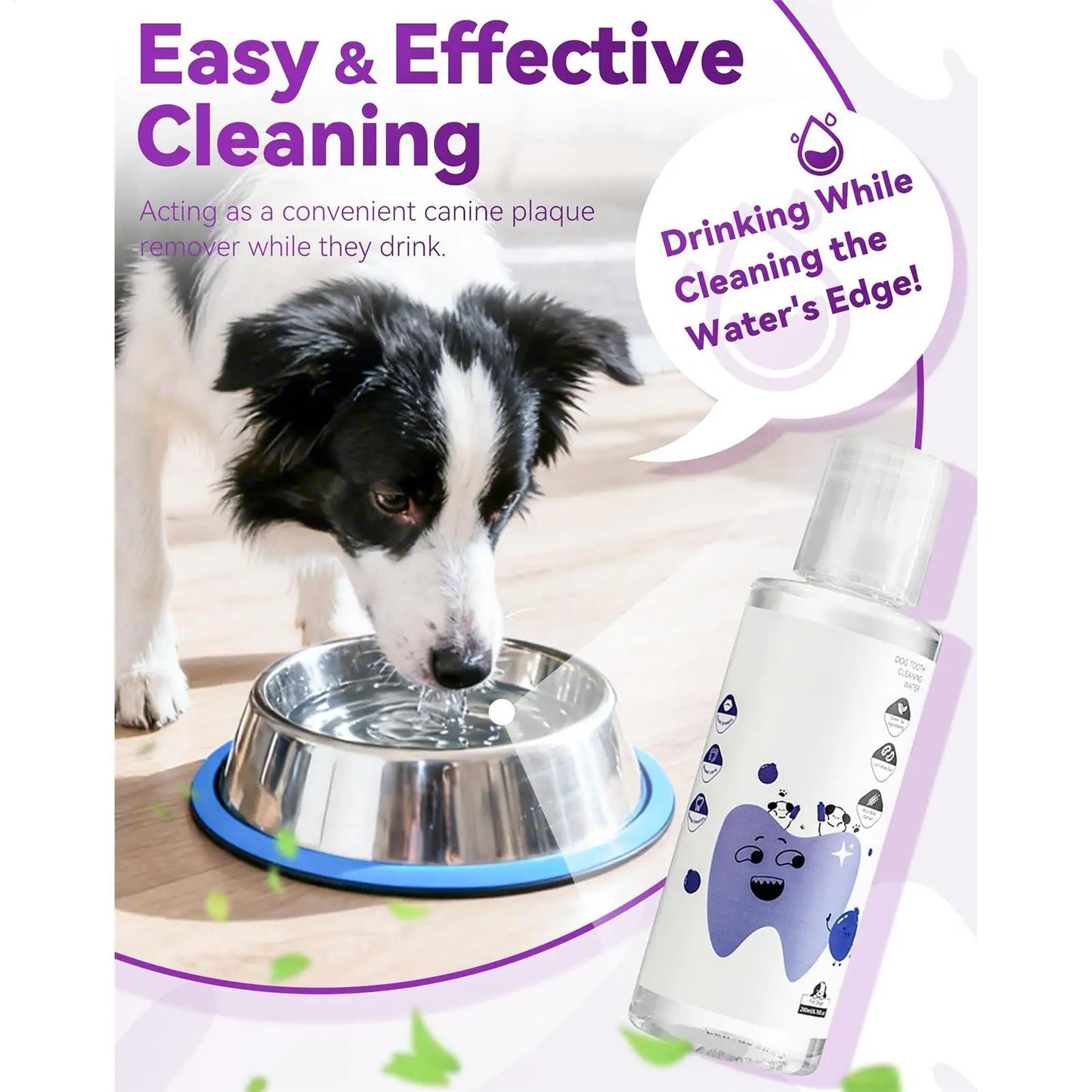 Dog Breath Water Additive 200ml Natural Healthy Bad Breath Remover Solution for Indoor Outdoor Travel Brushing Grooming Health