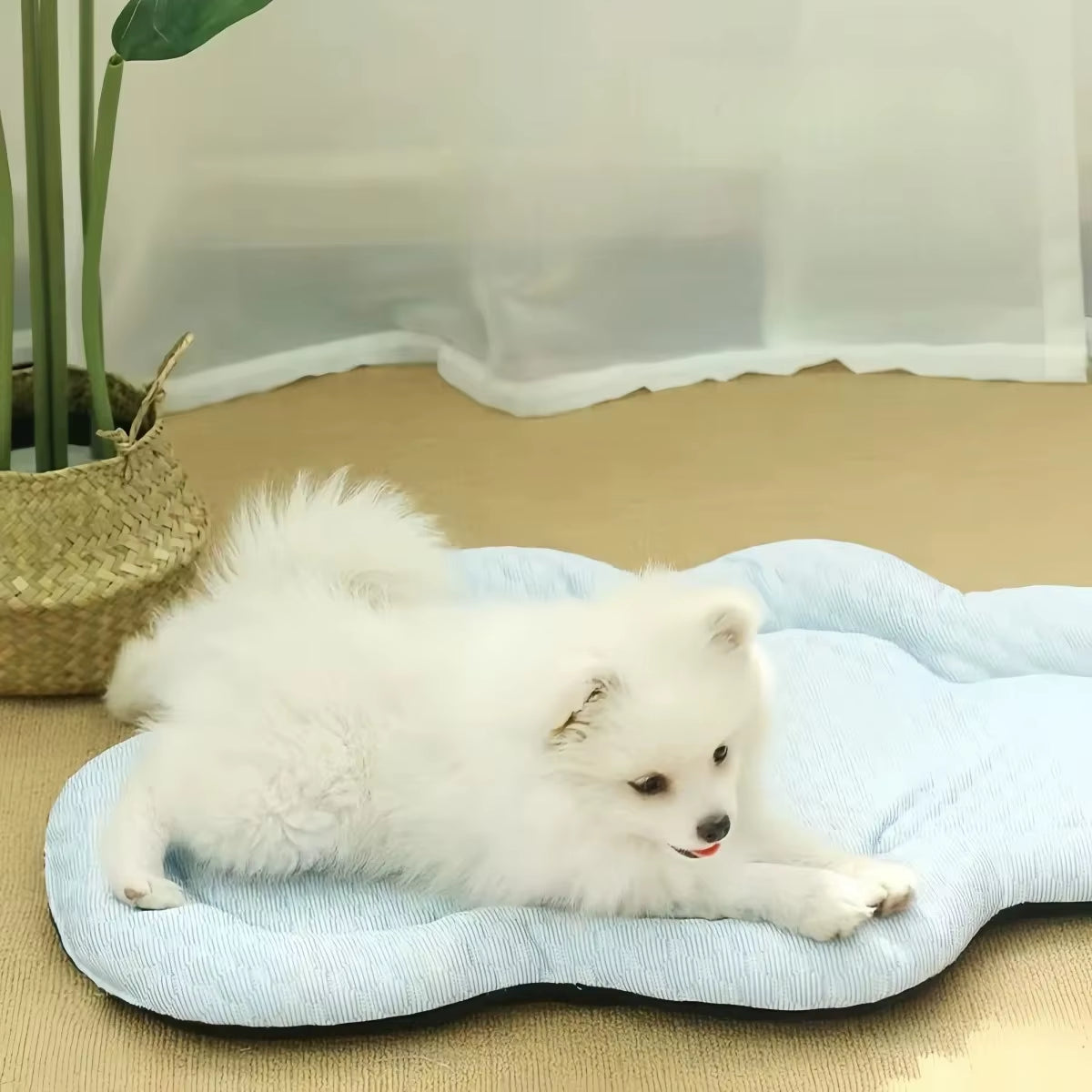 Cooling Mat Dog Accesories Summer Kennel Sofa Baby Bed Pet Beds for Small Dogs Products Cushion Accessories so Pets House Indoor