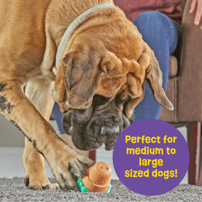 Ice Cream Dog Toy Treat Dispenser, Playful Food Puzzle for Interactive Puppy Training & Birthdays