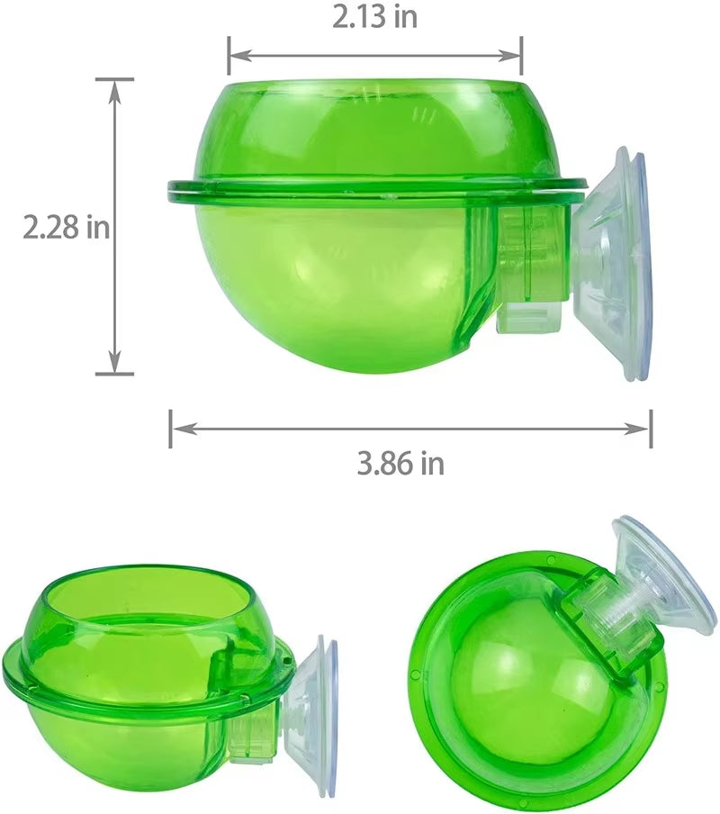 Reptile Feeder Chameleon Feeding Food Bowl Water Dish Suction Cup for Gecko Lizard Bearded Ledge Supplies Pets Accessories