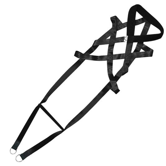 Dog Training Product Supplier Toys Dog Treats Trainer Pet Accessories Adjustable for Medium Large Dogs German Shepherd