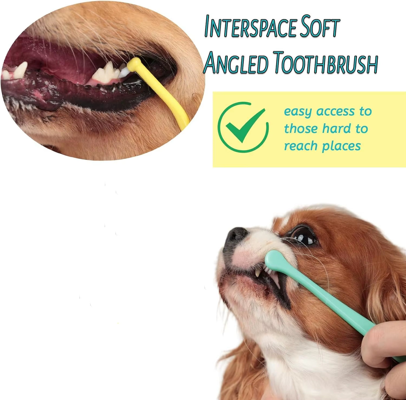 TONG Dog Cat Toothbrush Micro Head Cat Dental Care Pets Toothbrush Oral Hygiene Multi-Angle Round&Pointed Toothbrush