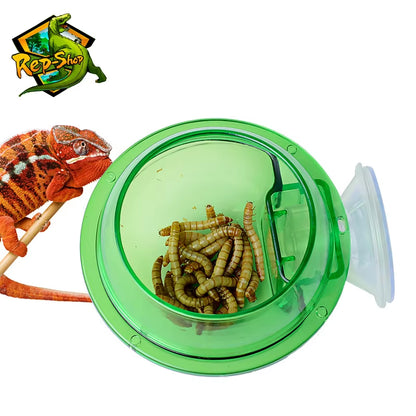 Reptile Feeder Chameleon Feeding Food Bowl Water Dish Suction Cup for Gecko Lizard Bearded Ledge Supplies Pets Accessories