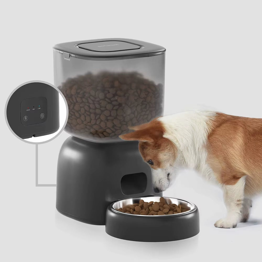 3L Automatic Pet Feeder Smart Food Dispenser Cat & Dog Timer Stainless Steel Bowl Automatic Dog & Cat Pet Feeding Pet Supplies