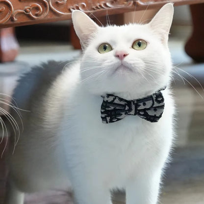 Pet Stuff Accesories Cats Items Detachable Collar Series Accessories Dogs Collars Guides Supplies Leash Kittens Pets