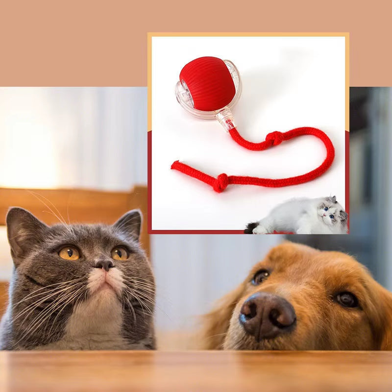 Intelligent Teasing Cat Ball Pets Play Boredom Toys Decompression Automatic Rolling Toy Ball Sound Wake-Up Rechargeable Ball Toy