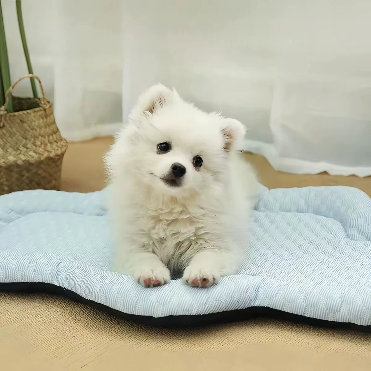 Cooling Mat Dog Accesories Summer Kennel Sofa Baby Bed Pet Beds for Small Dogs Products Cushion Accessories so Pets House Indoor