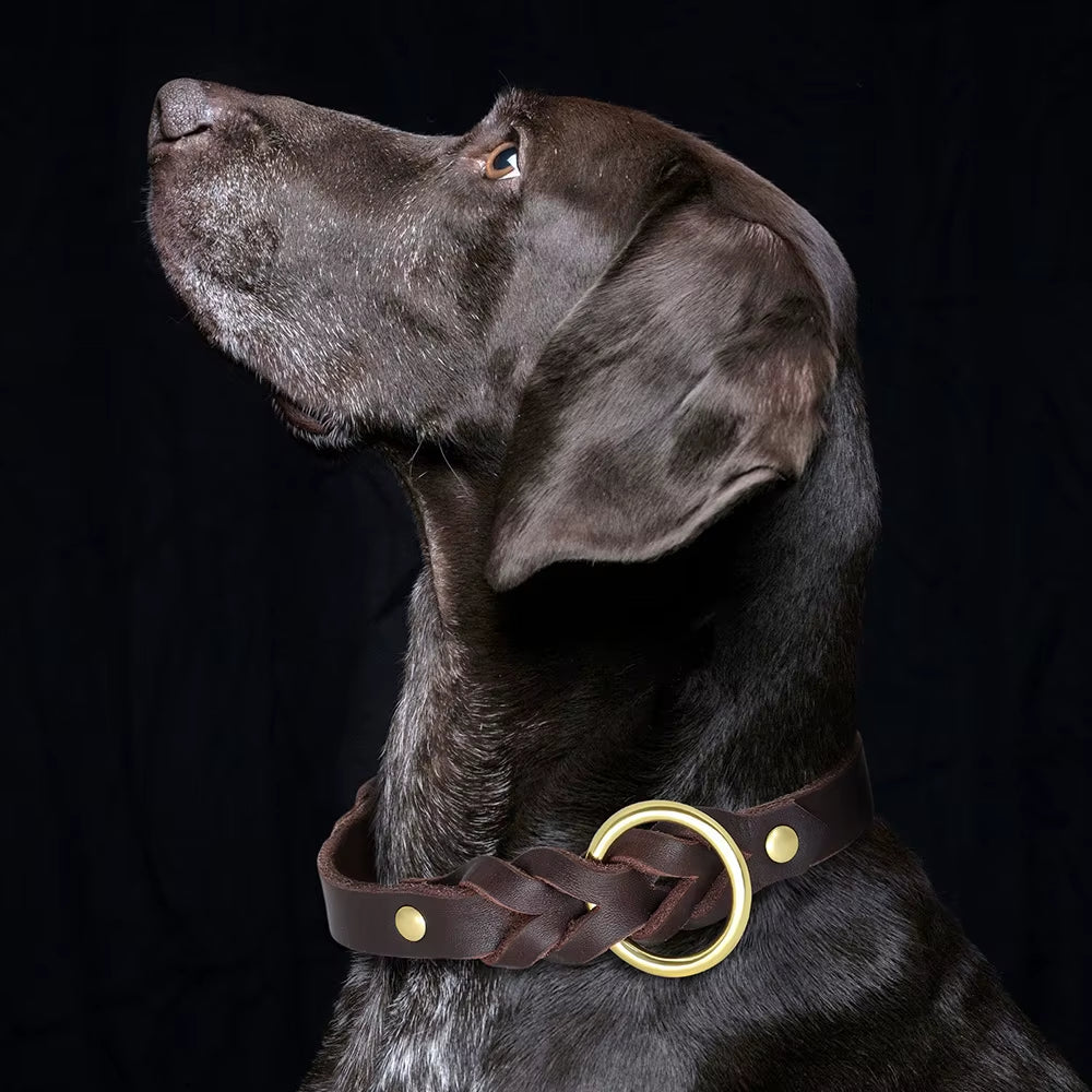 Genuine Leather Dog Collar Leash Set Braided Durable Leather Dog Collars for Medium Large Dogs German Shepherd Pet Accessories