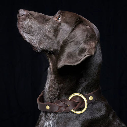 Genuine Leather Dog Collar Leash Set Braided Durable Leather Dog Collars for Medium Large Dogs German Shepherd Pet Accessories